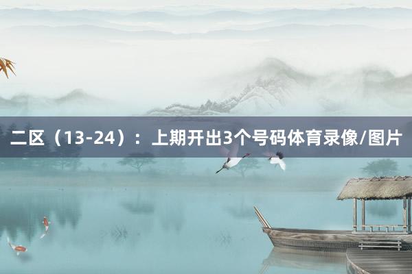 二区(13-24):上期开出3个号码体育录像/图片