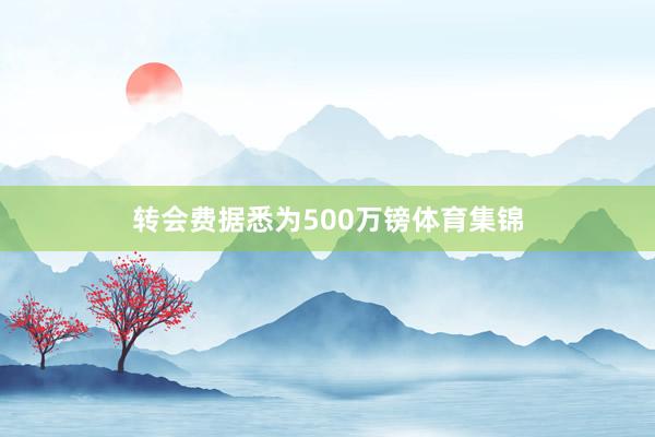 转会费据悉为500万镑体育集锦