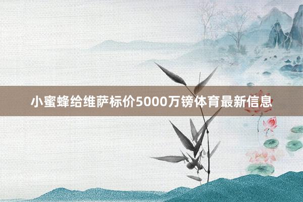 小蜜蜂给维萨标价5000万镑体育最新信息