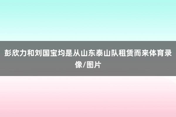 彭欣力和刘国宝均是从山东泰山队租赁而来体育录像/图片