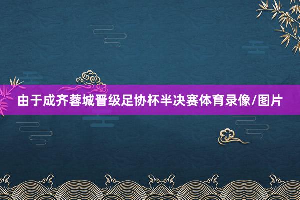 由于成齐蓉城晋级足协杯半决赛体育录像/图片
