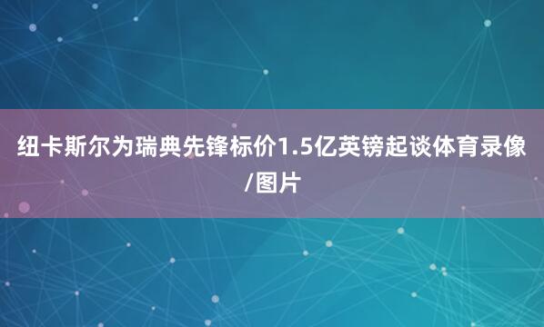 纽卡斯尔为瑞典先锋标价1.5亿英镑起谈体育录像/图片
